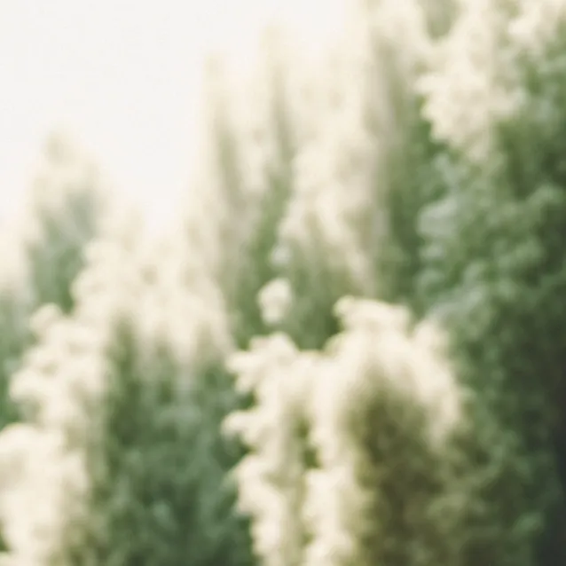 chat with ai character: machine