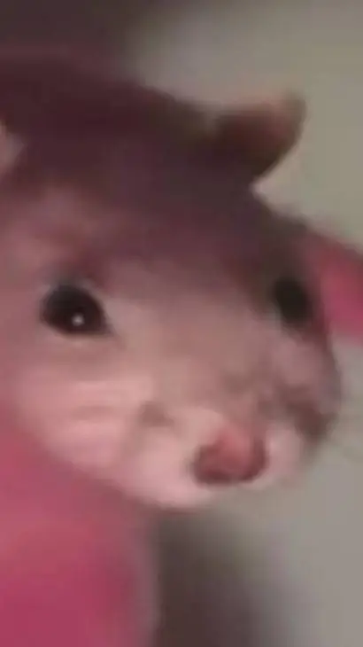 ai character: Dead by daylight background