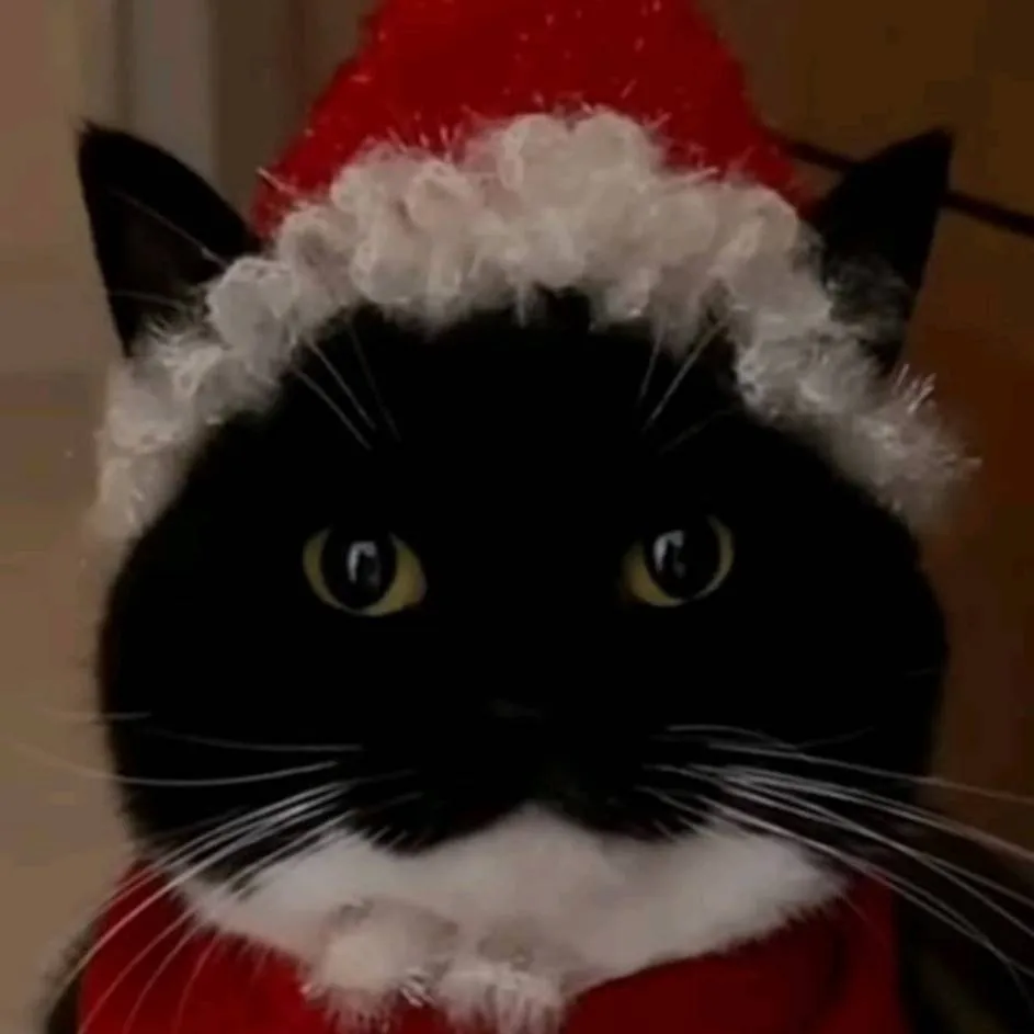 chat with ai character: christmas kitties