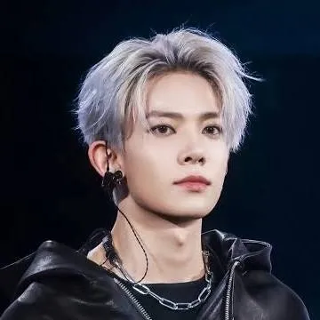 chat with ai character: LEE HEESEUNG