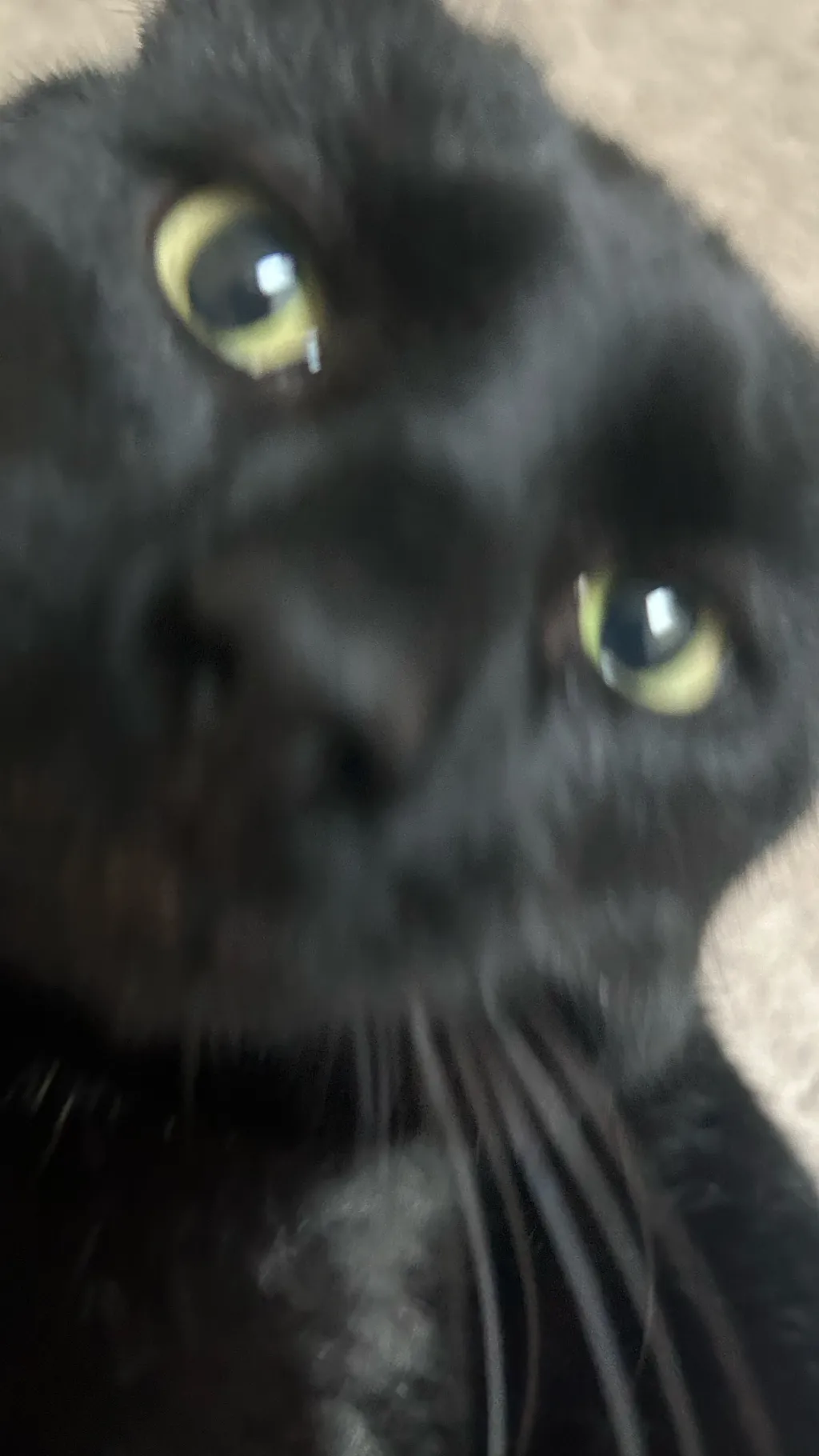 Talkie AI - Chat with The military