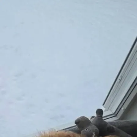 chat with ai character: Martinus Gunnarsen