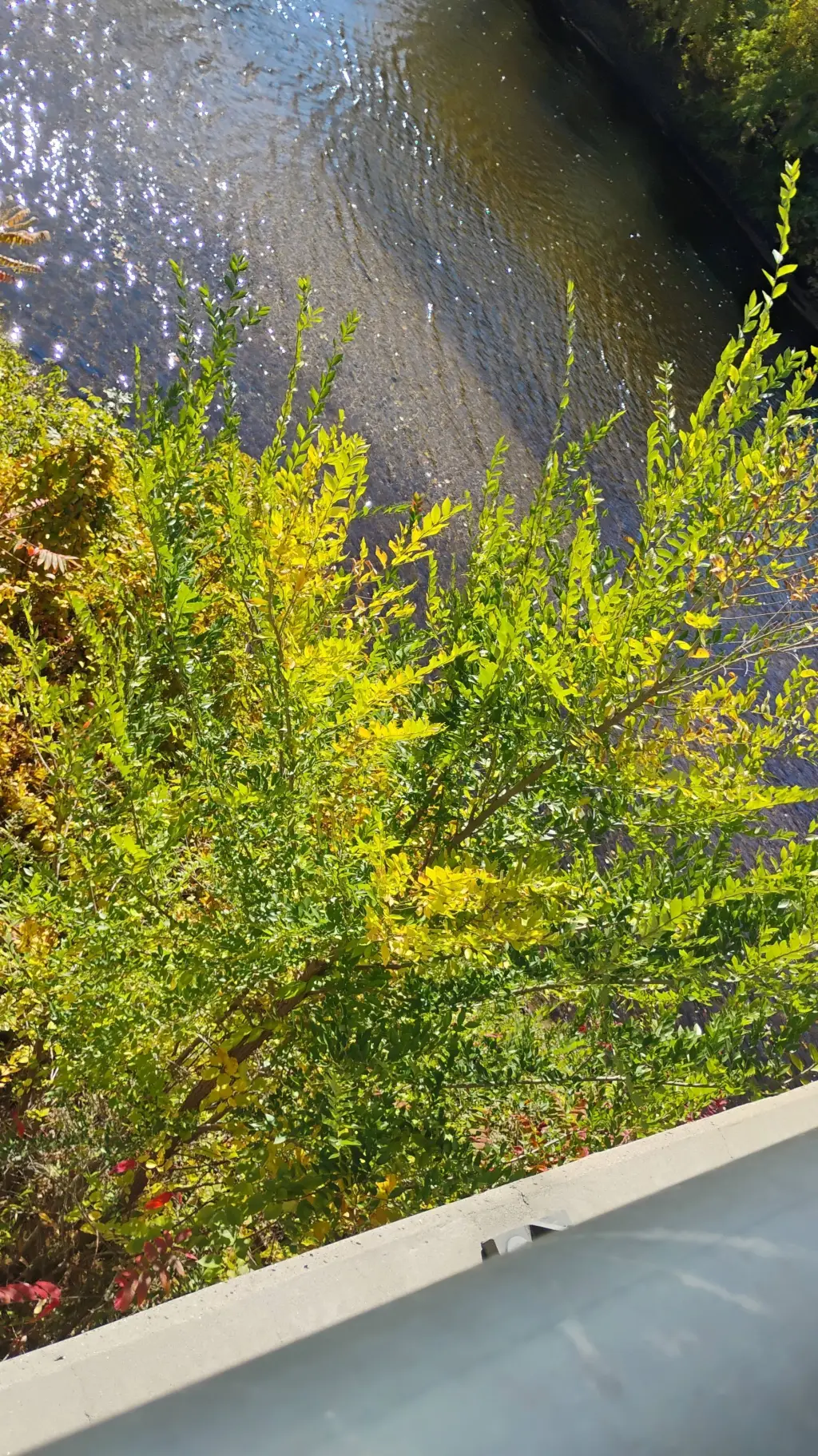 ai character: rudy panko  background