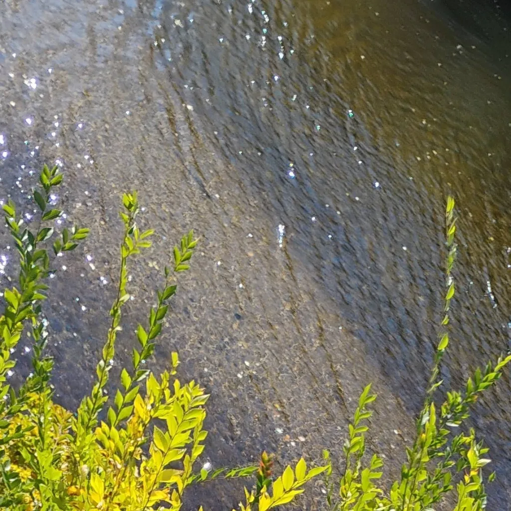 chat with ai character: rudy panko 