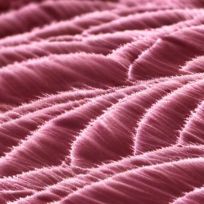 chat with ai character: Yooreeks9