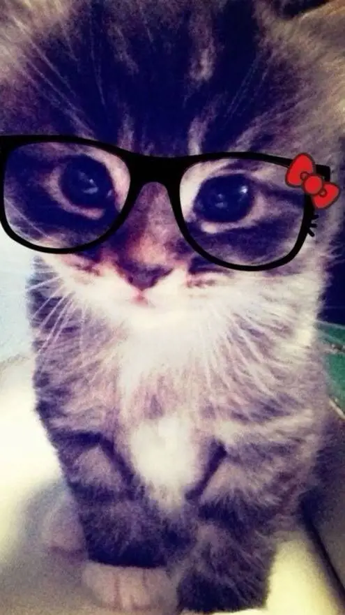 ai character: yyour sexy teacher background