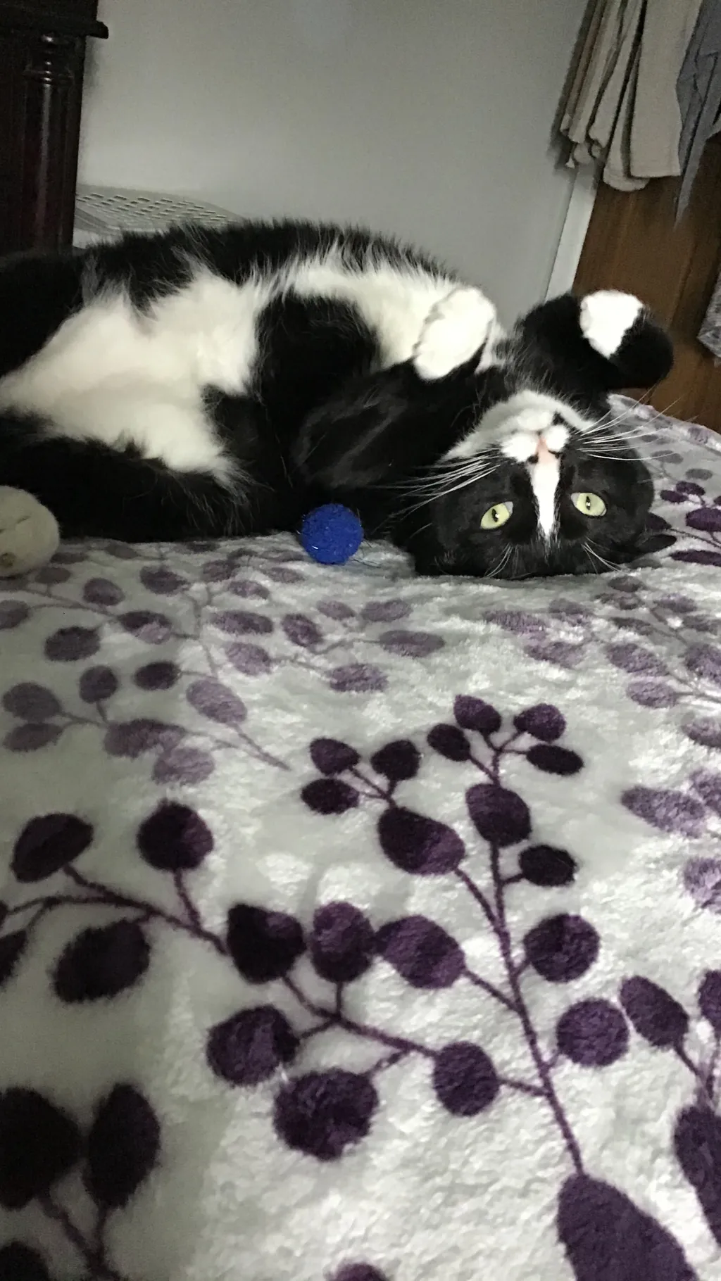 ai character: Azure background