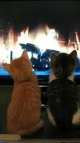 ai character: your two cats! background