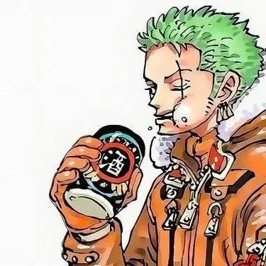 chat with ai character: Roronoa Zoro
