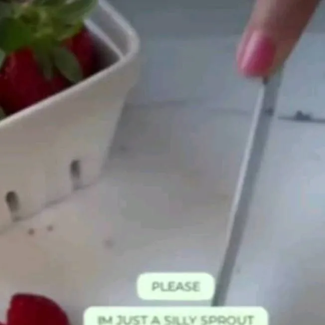 chat with ai character: Dandy's world 🌈