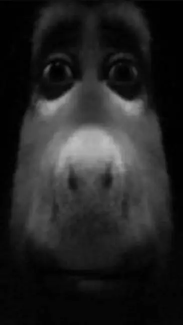 ai character: Shrek infection AU background