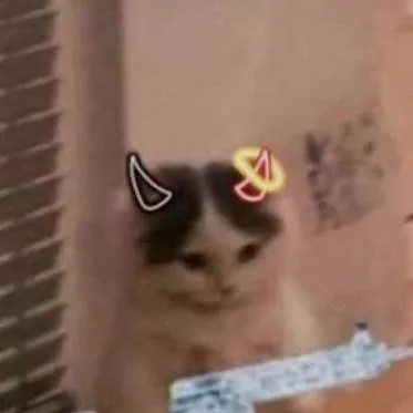 chat with ai character: criminal cat