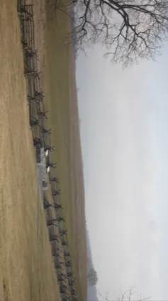 ai character: 1863, OMMM background