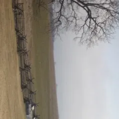 chat with ai character: 1863, OMMM