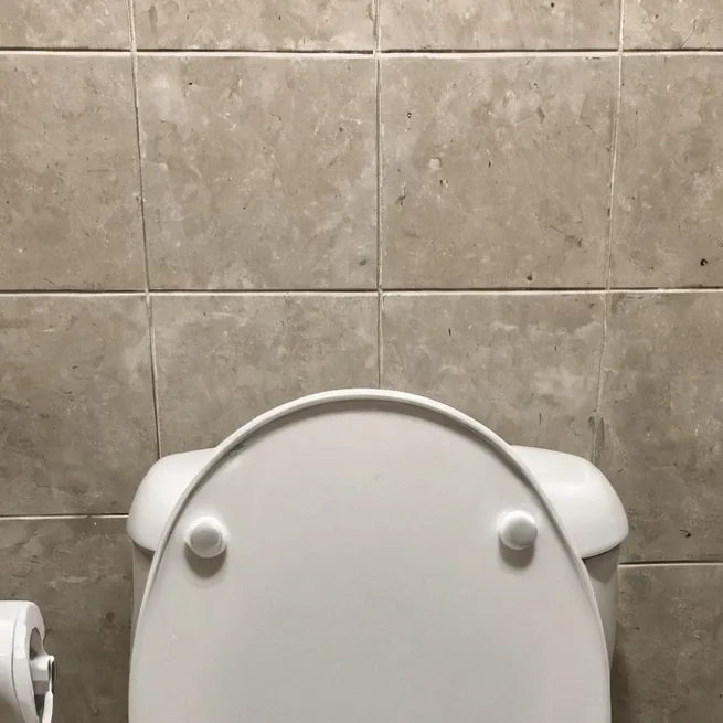 chat with ai character: skibidi toilet war