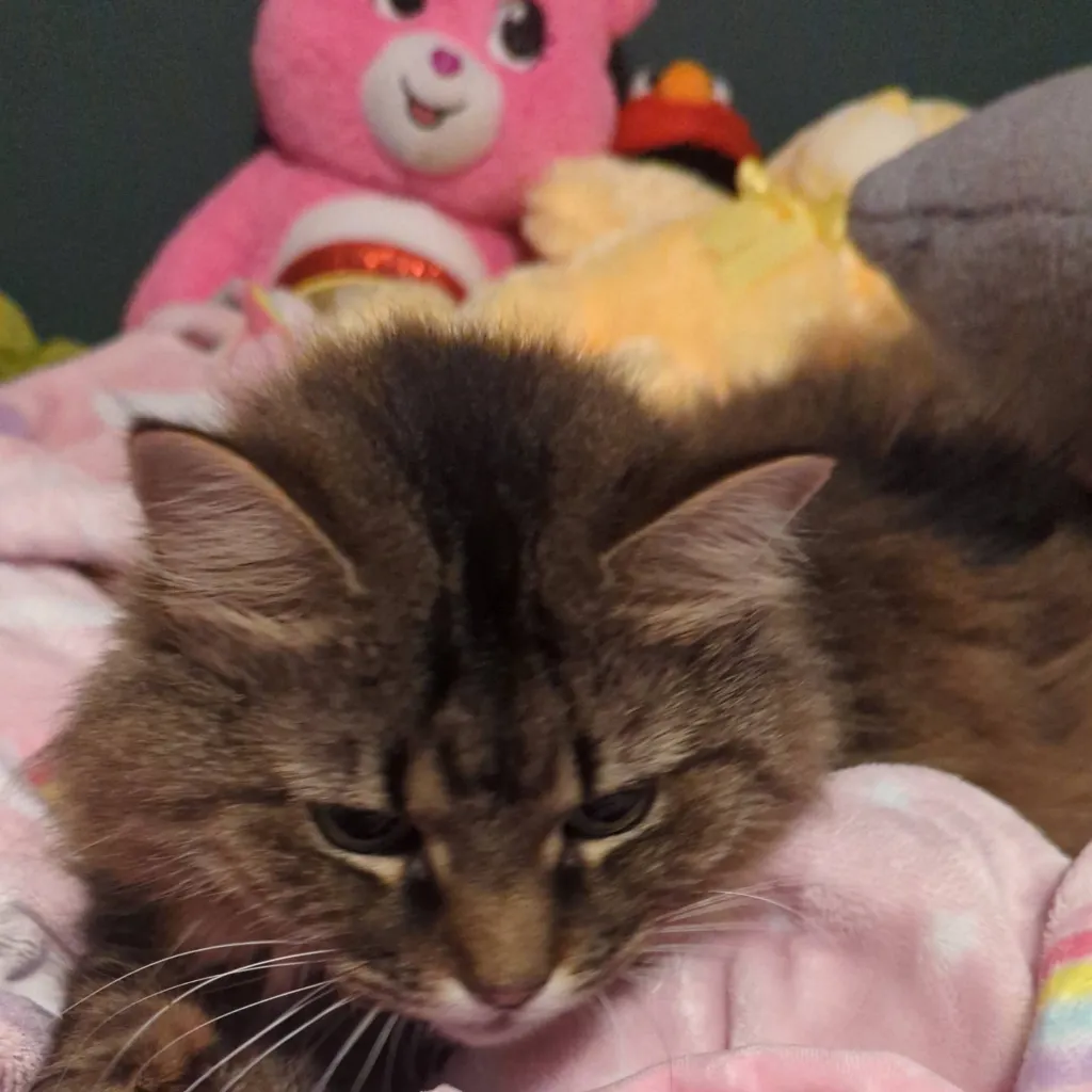 chat with ai character: Forest