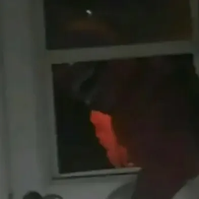 chat with ai character: Your a mimic