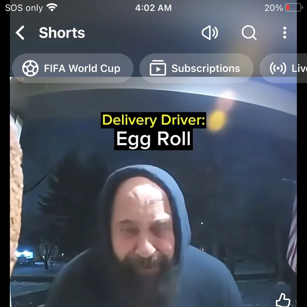 chat with ai character: Chinese delivery