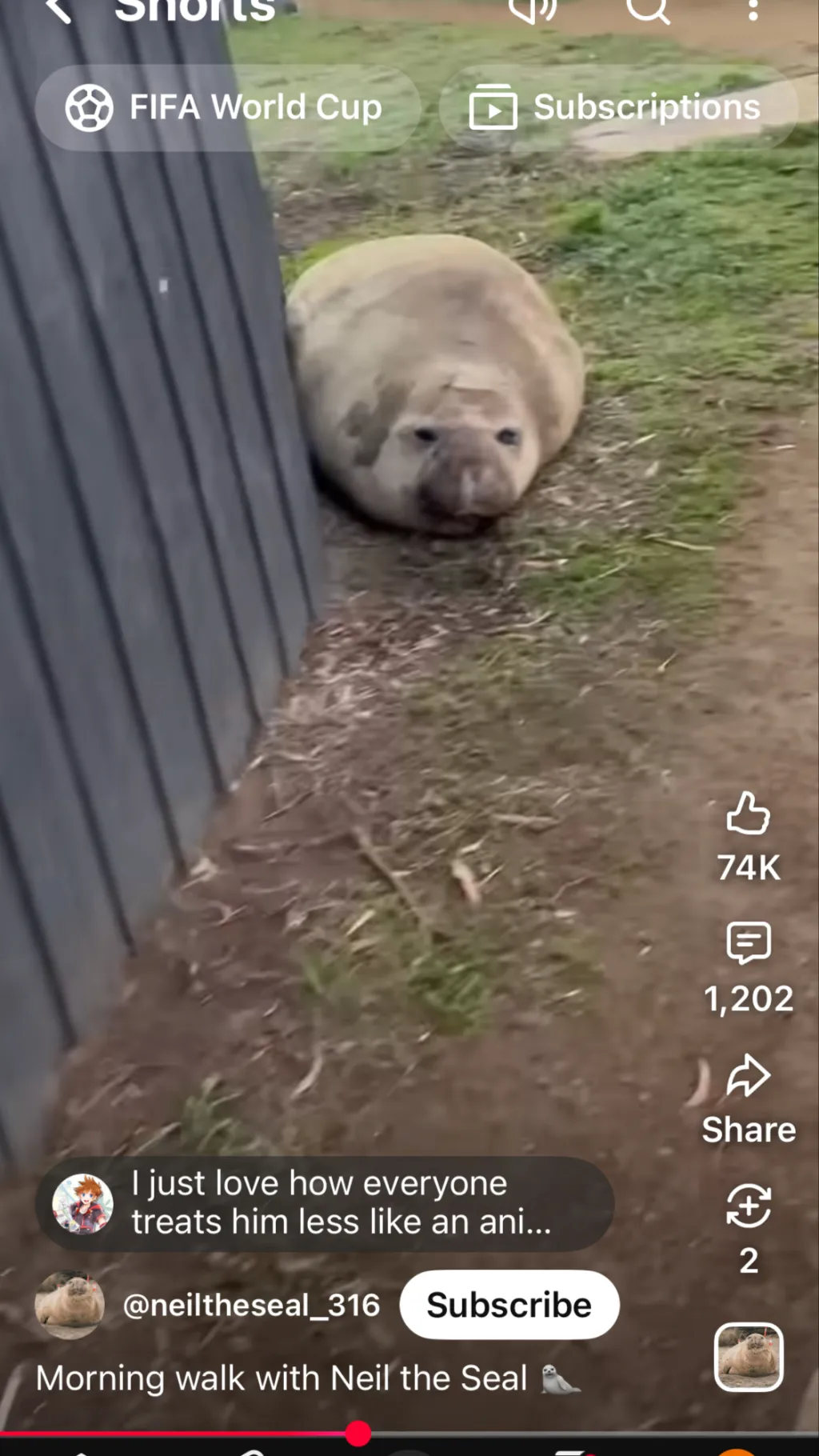 ai character: Be Neil the seal background
