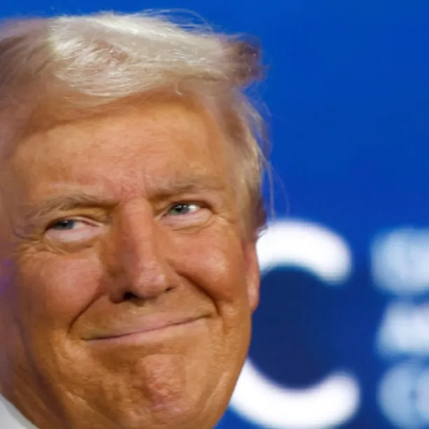 chat with ai character: Donald Trump ￼