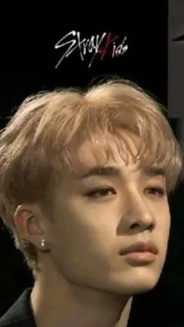 ai character: ★•SKZ•★ background