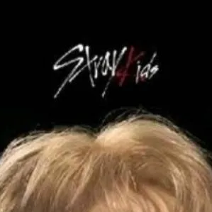chat with ai character: ★•SKZ•★