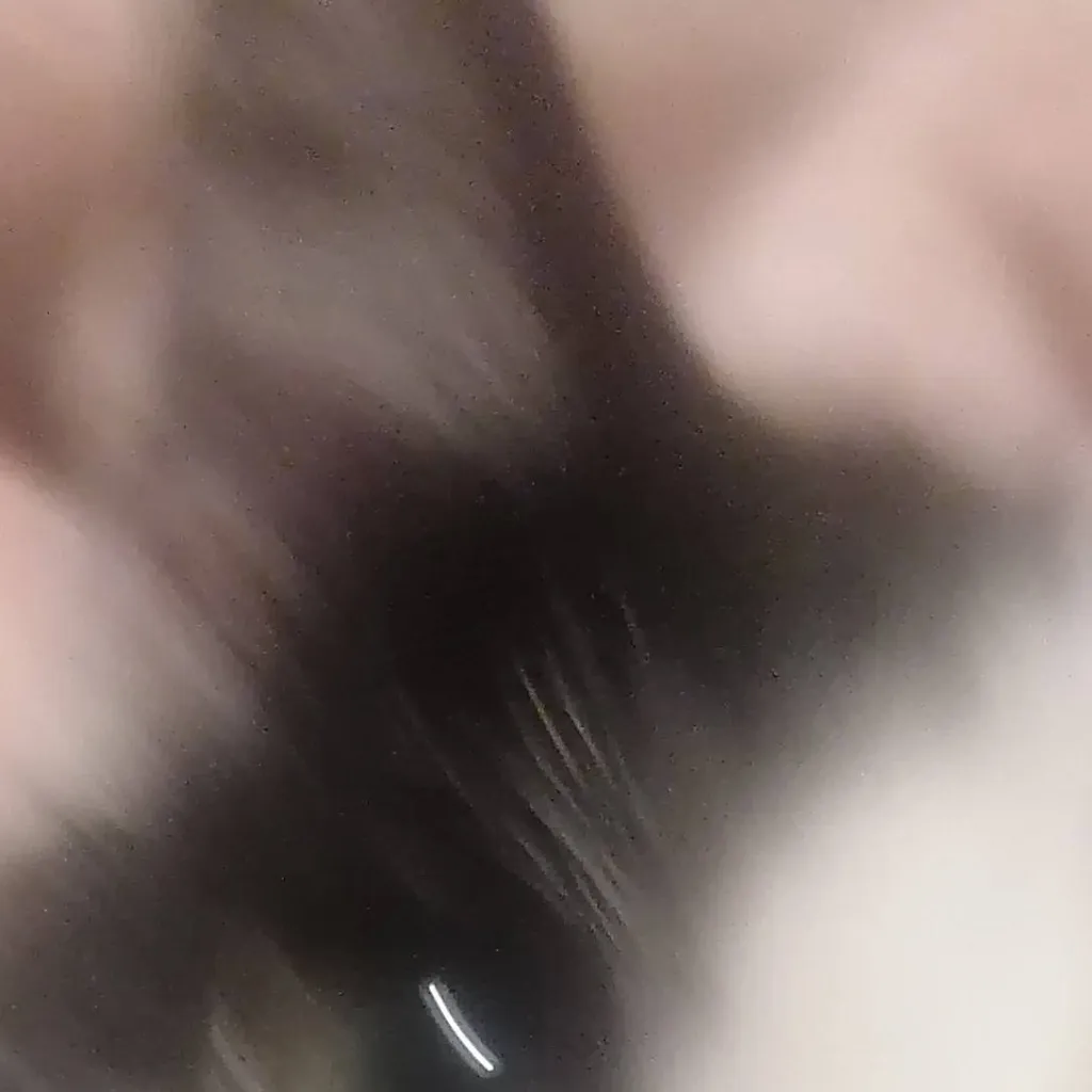 chat with ai character: Oreo the cat