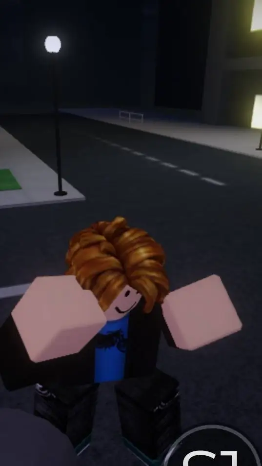 ai character: ROBLOX CHARACTER  background