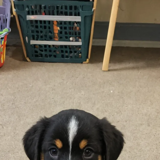 chat with ai character: mother