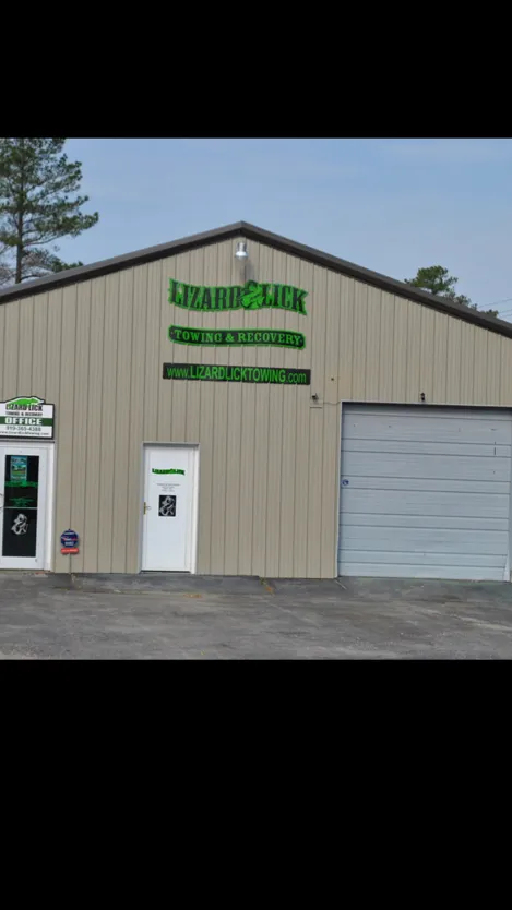 ai character: Lizard lick towing background