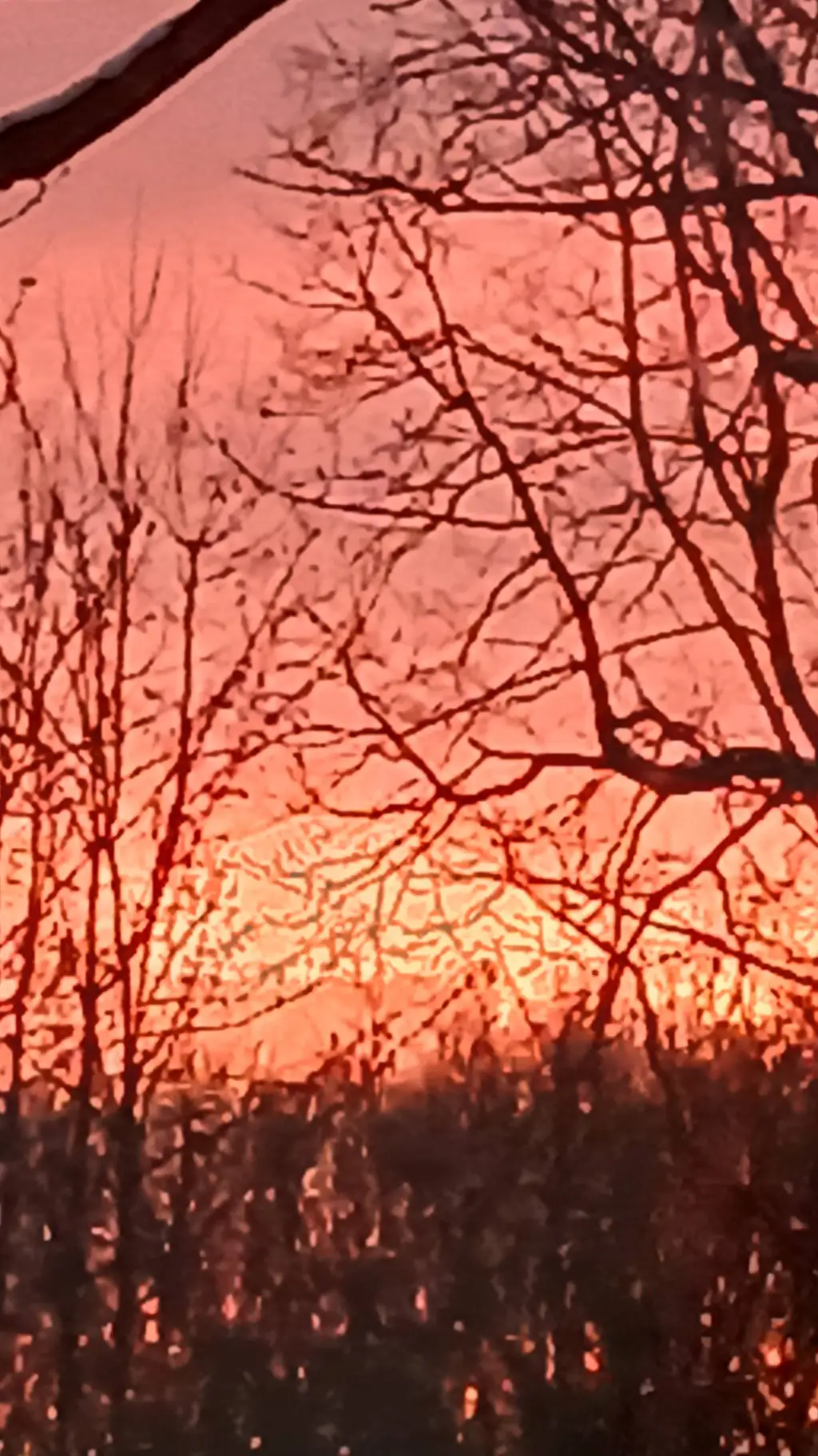 ai character: Liam freestone background