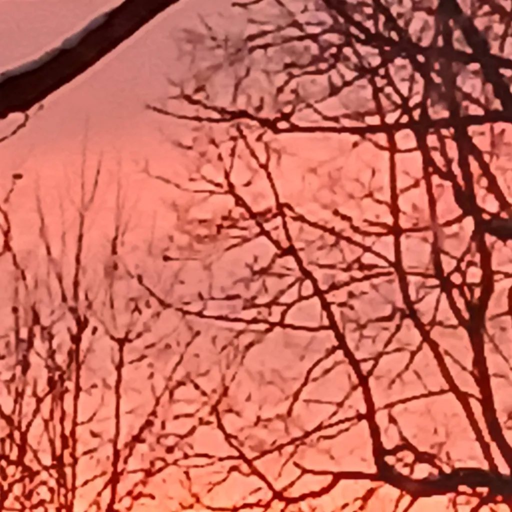 chat with ai character: Liam freestone