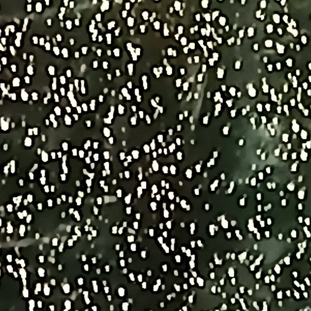 chat with ai character: Connor Delcour