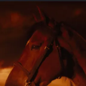 chat with ai character: War horses