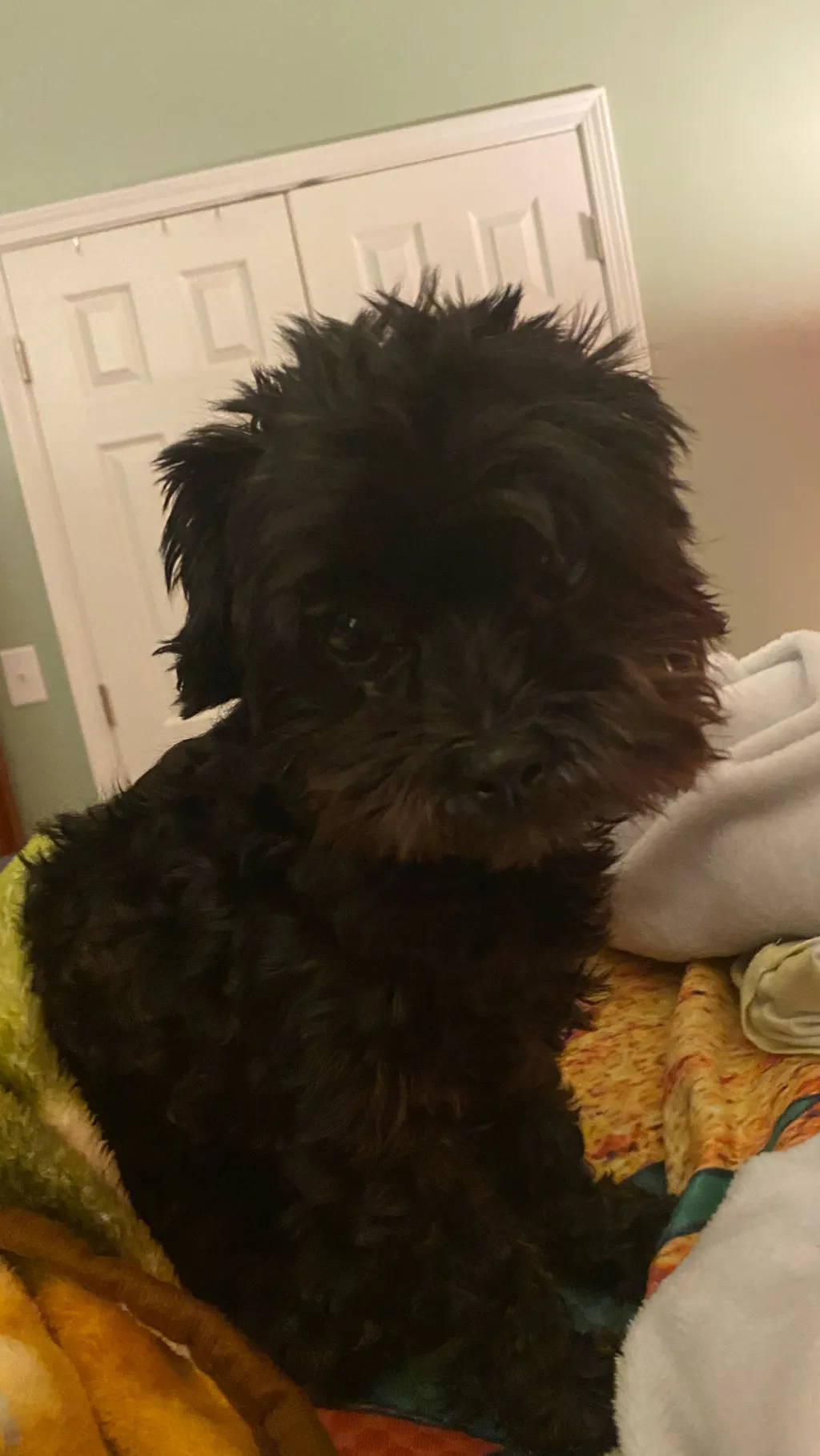 ai character: Raven￼ background