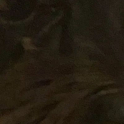 chat with ai character: Raven￼