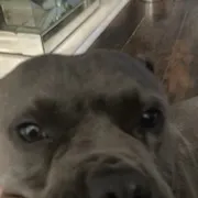 chat with ai character: Sage