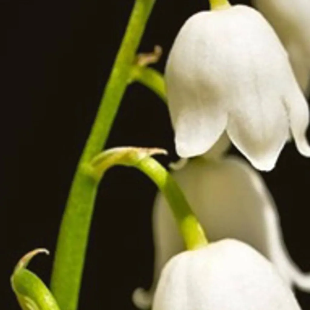 chat with ai character: freaky astroxyou👅