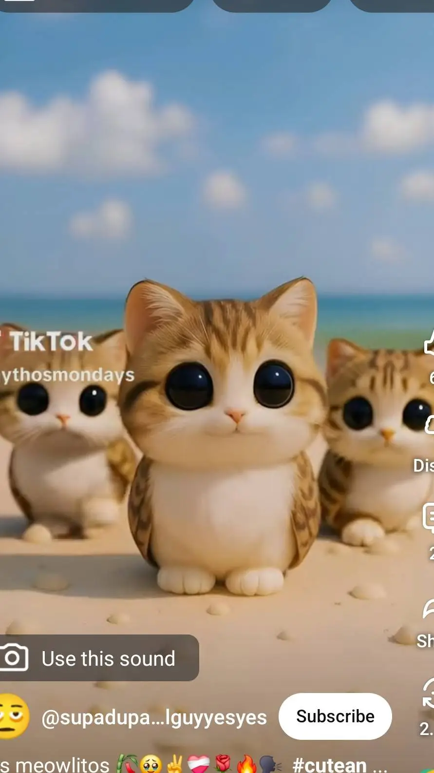 ai character: los meowl background