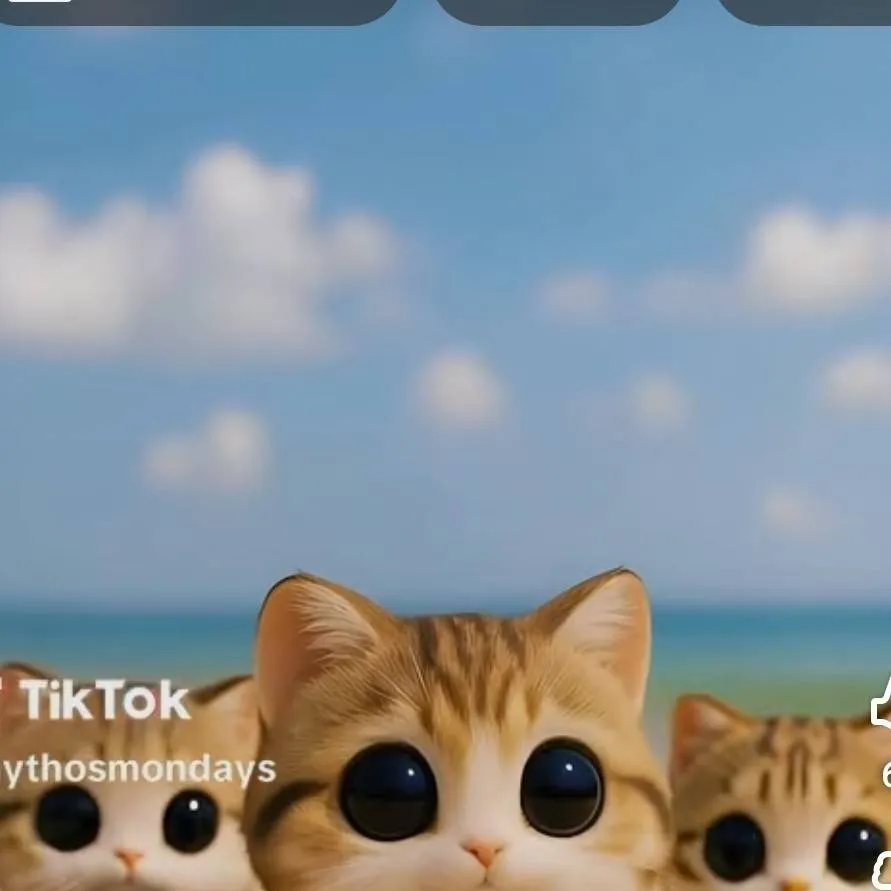 chat with ai character: los meowl