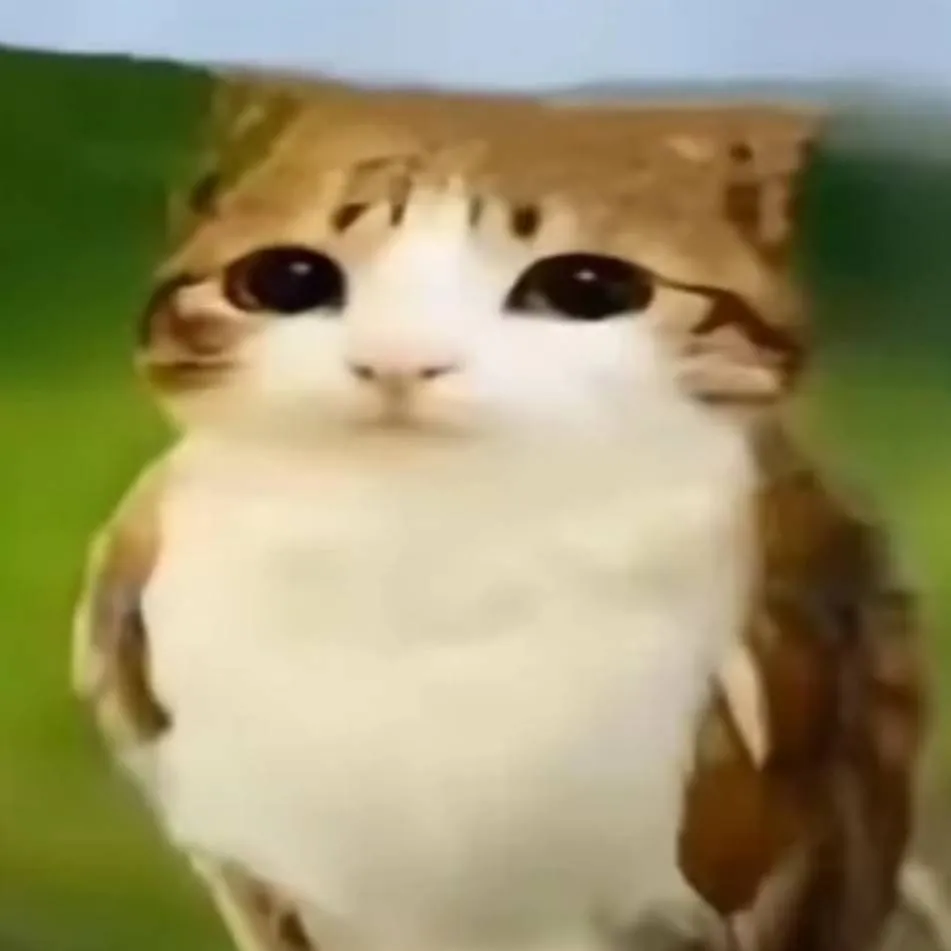 chat with ai character: meowl