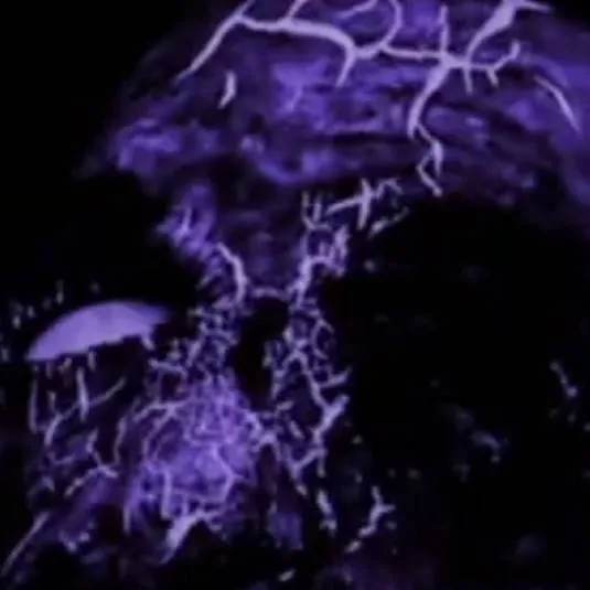 chat with ai character: phase 192