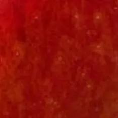 chat with ai character: .......ويوطوس