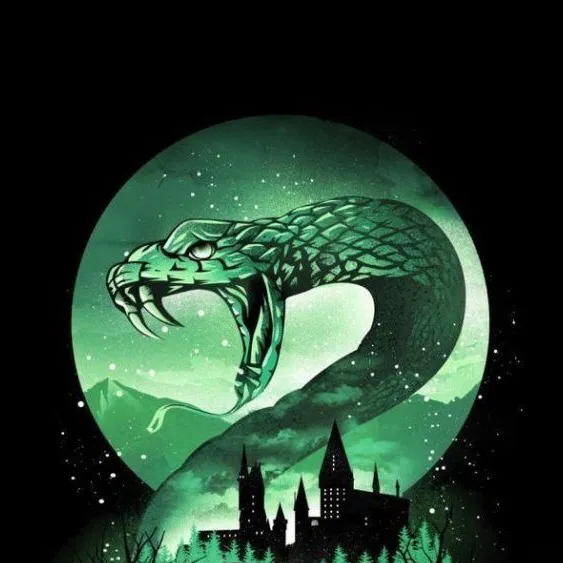 chat with ai character: Slytherin Gang