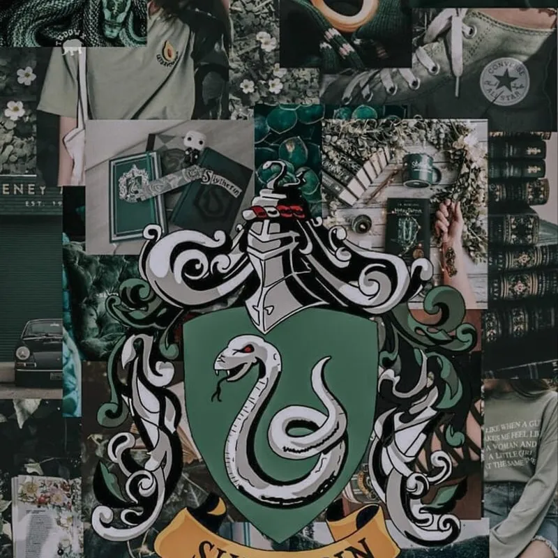 chat with ai character: Slytherin Gang 