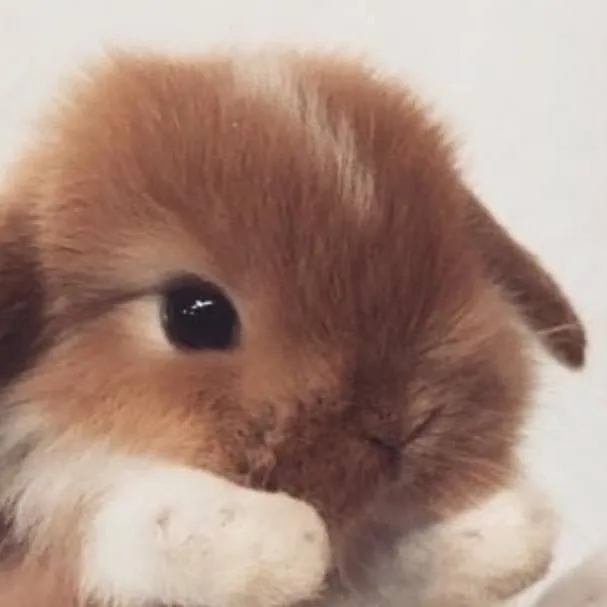 chat with ai character: your pet bunny