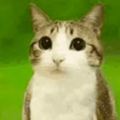 chat with ai character: Meowl