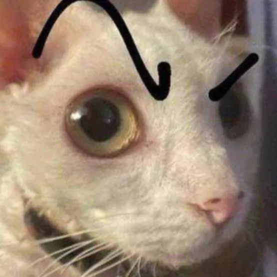 chat with ai character: I'm back!