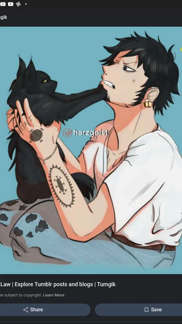 ai character: Trafalgar law  background
