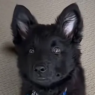 chat with ai character: Aiden 